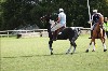 UKPA  NC Sat_1283